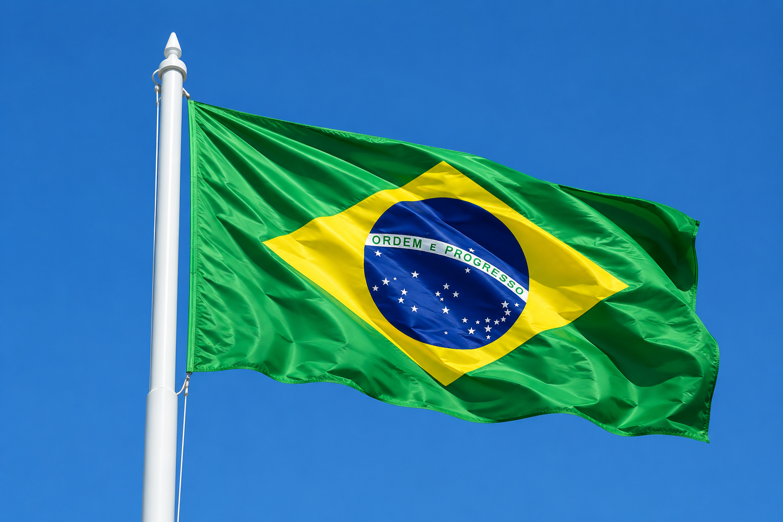 Brazil Flag